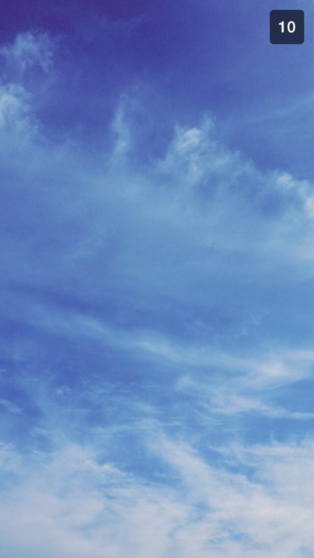 🌼