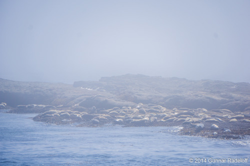 7.7.2014 - day 5 on the West Coast Trail#BC #Canada #VancouverIsland #WestCoastTrailPortfolio - Blog