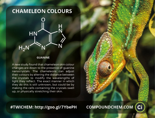 compoundchem:  A new study found that chameleon skin colour changes have a completely different explanation than we previously thought.Featured in ‘This Week in Chemistry’.