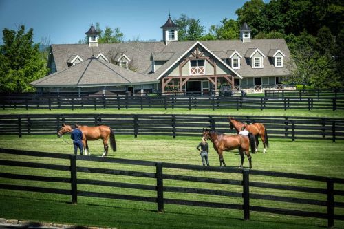 Double H Farm - Ridgefield, CT (for sale)The Connecticut base of Quentin Judge.Also the farm that (c