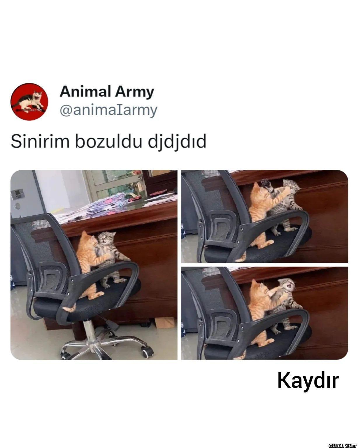 Son fotoğraf 😂...