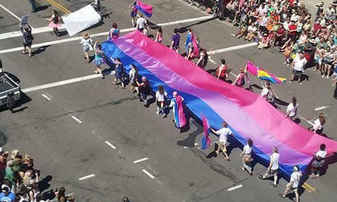 stilesisbiles:  Giant bi pride flags. The world needs more of them.