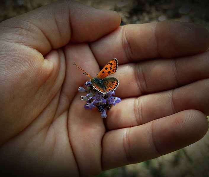 nubbsgalore: photos by mehmet karaca  