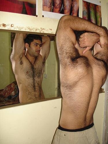 harrybacks:Hairy Shoulders 436