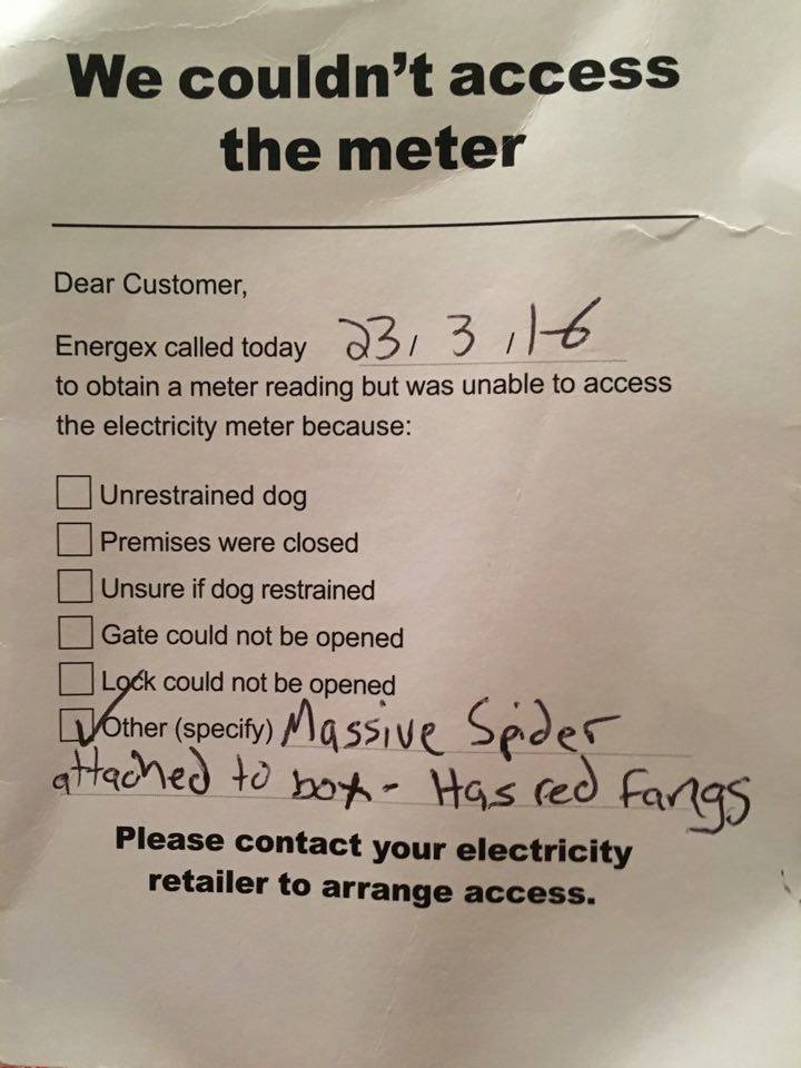 ourspacebetween:  volatilesmile:  Australian problems.  Explain THIS, @theunderratedepi!