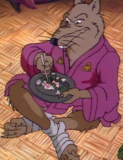 biomechabird:  matsutzu:  I watched a little bit of classic TMNT at one point today, and was reminded yet again just how much I love Master Splinter from that incarnation. :)  in which we discover that master splinter is actually involved with the hoenn