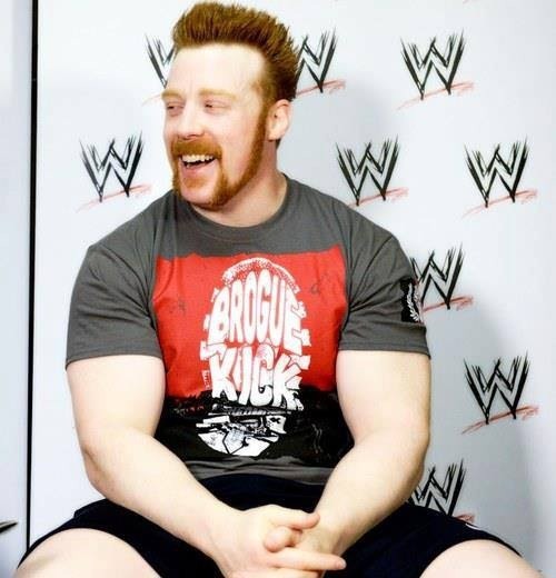 superstarsanddivaswwe:  I know I’ve said it a million times, but Sheamus is so