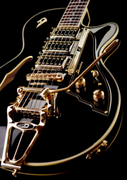 squonk:  Duesenberg…just an awesome instrument..never seem to caught on..they`re beautiful!! 