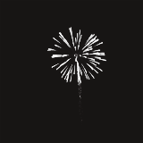                                                                  Happy New Year!