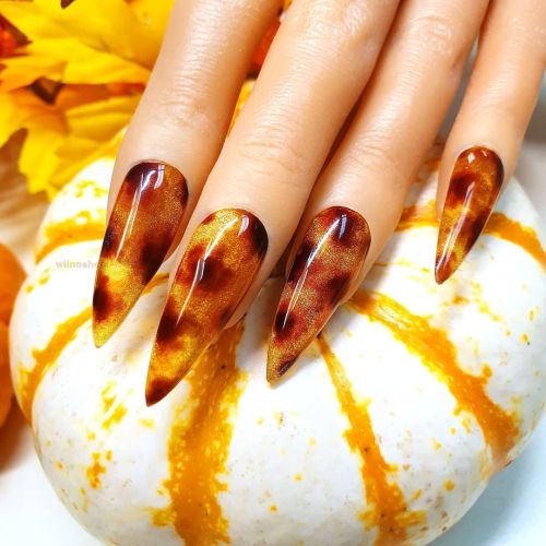 Tortoiseshell nails for Fall using KiiRa gold magical cat eye gel polish as base #fallnails #autumnn