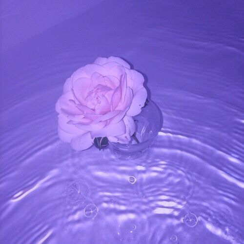 Purple and Blue Aesthetic on Tumblr: Image tagged with purple aesthetic,  purple, aesthetic