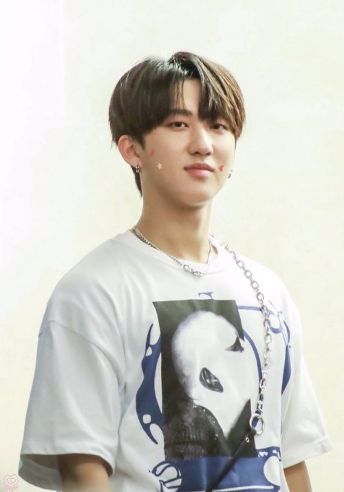 © LIONHEART [1, 2] please do not edit or crop... : Stray Kids Update