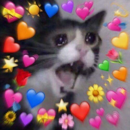 fuckvld:  