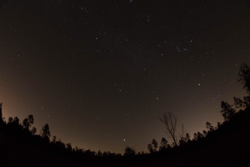 heliophilouscamelopardalis: We love star gazing. sexynarwhals You make me incredibly happy.Going to 