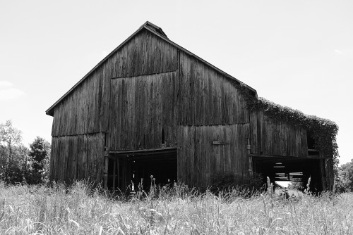 Barn Near BulleitFuji x100f Shelbyville, Kentucky