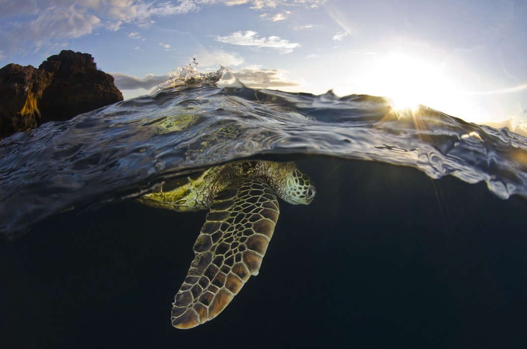 staceythinx:  The finalists have been announced for this year’s Smithsonian Photo