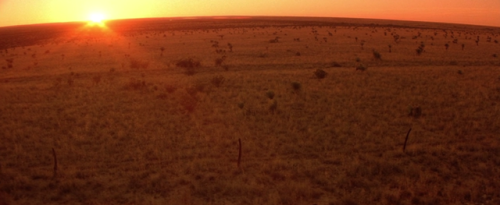 Wild At Heart, 1990DramaDirected by David LynchDirector of Photography: Frederick Elmes