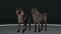  Call Of Duty: Ghosts Wolf And Hellhound  Source Filmmaker Models Wolf And Hellhound
