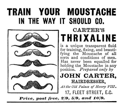 ~ Carter&rsquo;s Thrixaline, 1894via Flickr