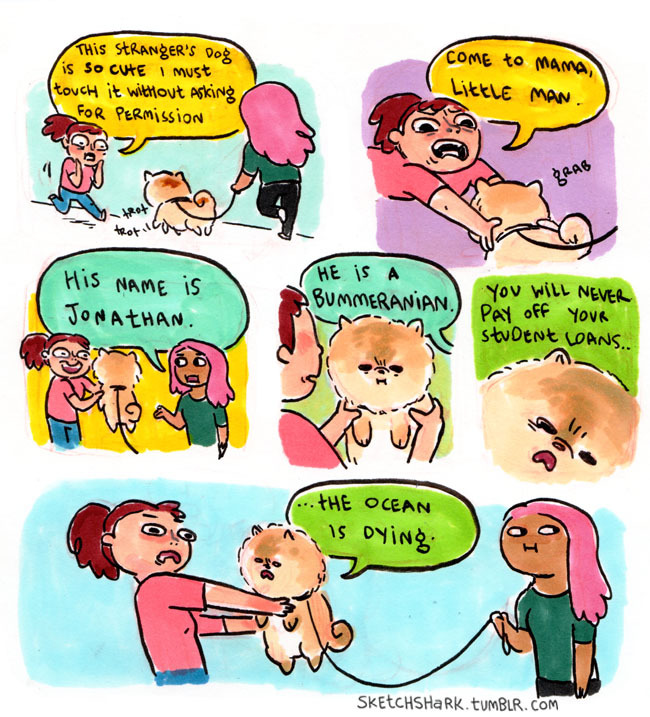 sketchshark:  Bummeranian.