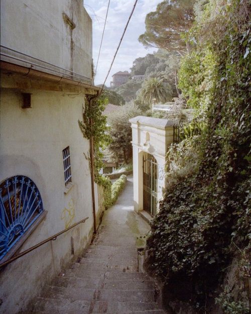 #kodakgold200 #nikkor24mm #italy (hier: Levanto, Italy) Https://www.instagram.com/p/CojyQLvNdAb/?igshid=NGJjMDIxMWI=