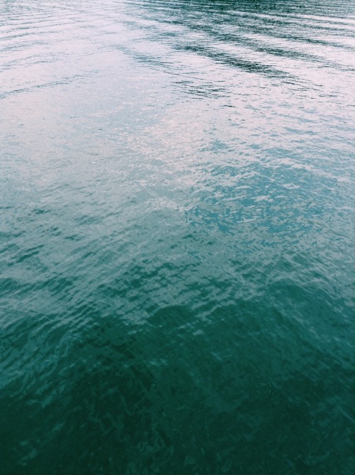 jonquilfairy: life