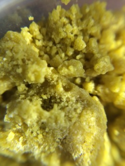 derricktguggia:  Under the microscope of some Royal Kush crumble!