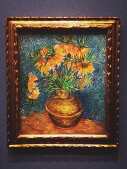 overdose-art:   Vincent van Gogh at the Musee