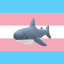 shark-tranny
