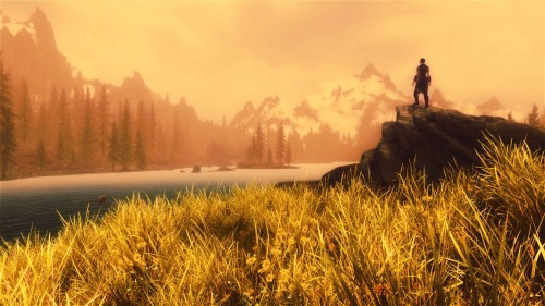 caprademons:  Skyrim; Orange 