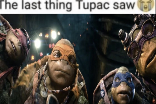 I Havent Been Posting About Tmnt Enough These Days Here Are Some Memes