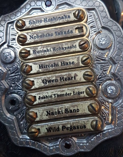 mengs-mullet:IWGP Jr. Heavyweight championship side plate.