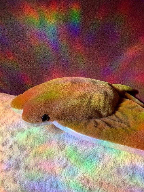 Me (Reni): Im A Bad Bitch