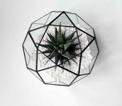 lesstalkmoreillustration: Handcrafted Geometric Glass Terrariums By WhiteLiesJewelry On Etsy  *More 