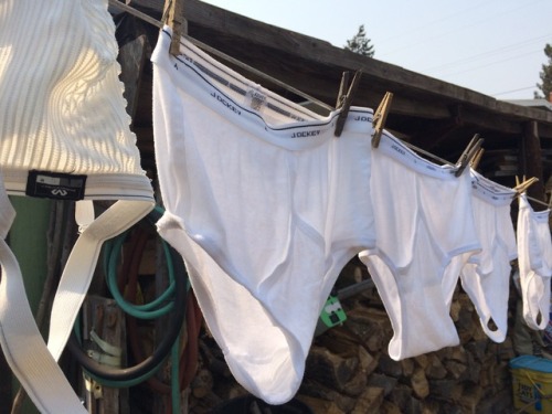 jockeybriefguy: Today was wash day Do you hang up your white briefs on the clothesline?
