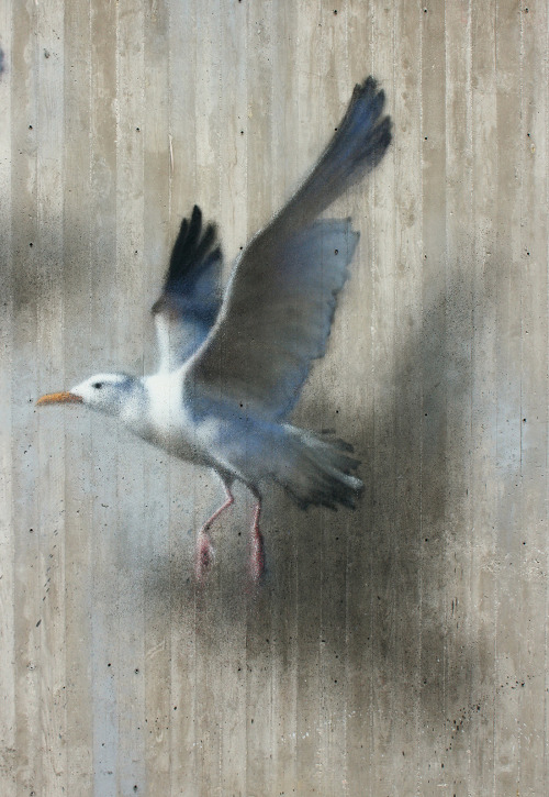 itscolossal: Ethereal Bird Murals on the Streets of Riccione by ‘Eron’