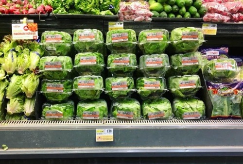  Starting the week off fresh with EG’s Hydroponic Butterhead Lettuce! 