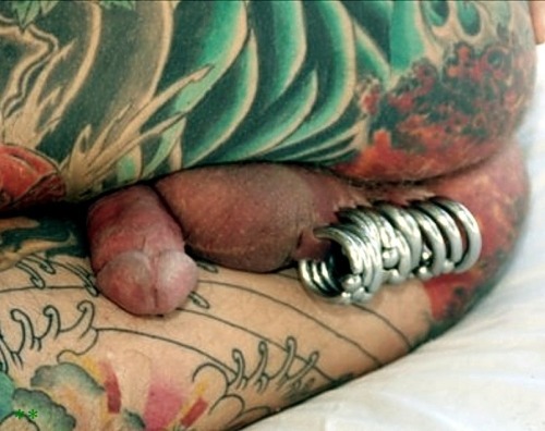 XXX piercedstuds:  Meet and fuck hot guys in photo