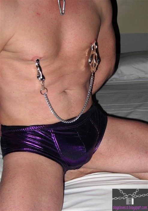 dogcdslave