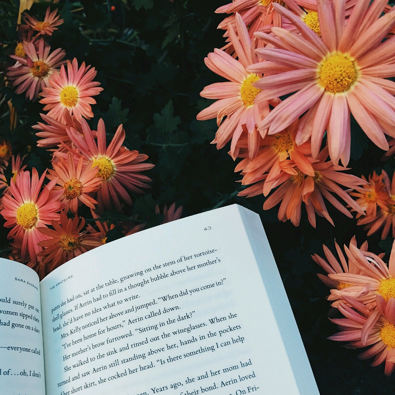 rainydayscoffeeandbooks:I found these pretty flowers during a visit to my grandma’s