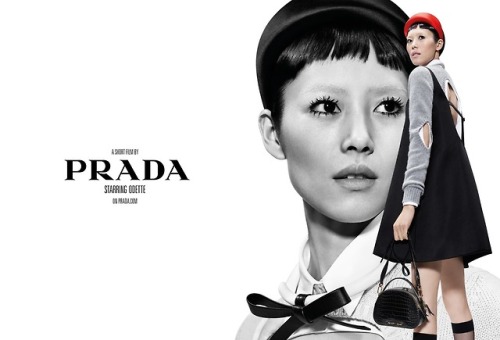 wearesodroee: Ad Campaign: Prada Spring/Summer 2019Model: Anok Yai, Freja Beha Erichsen, Gigi Hadid,