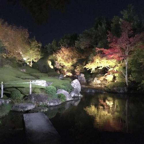 visitkyoto: #momiji#nightgarden#京都 #autumn2016 #taizoin #kyotogram #garden#japanesegarden#ig#iger#ig