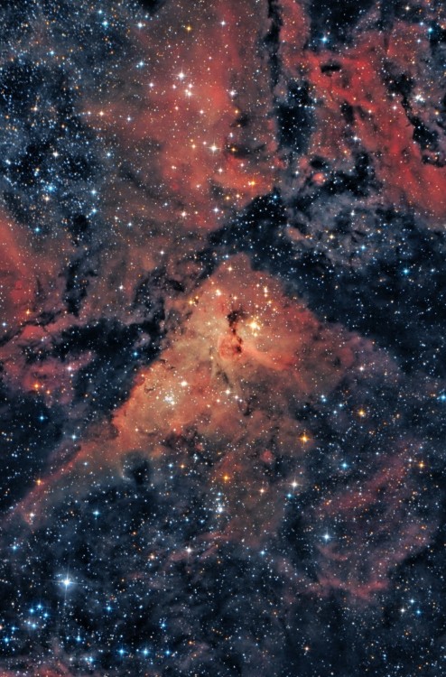 kenobi-wan-obi:  The Great Nebula in Carina by Subhankar Saha