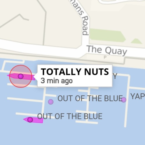 Some Nice Boats 