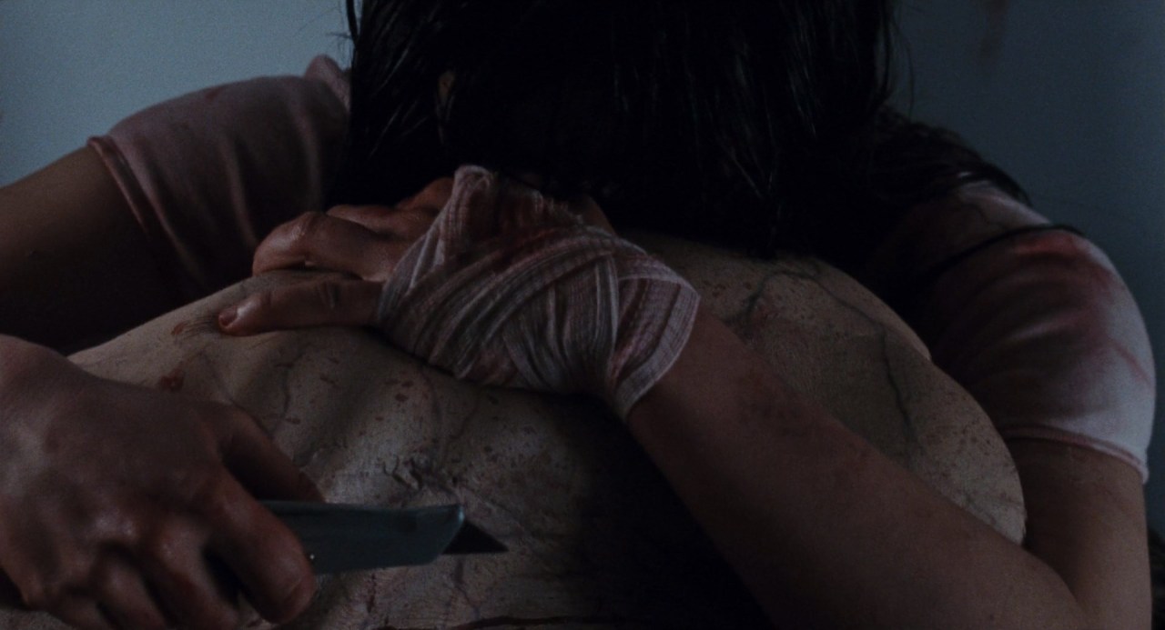 cleofisrandolph:Martyrs (2008) dir. Pascal Laugier, cinematography by Stéphane