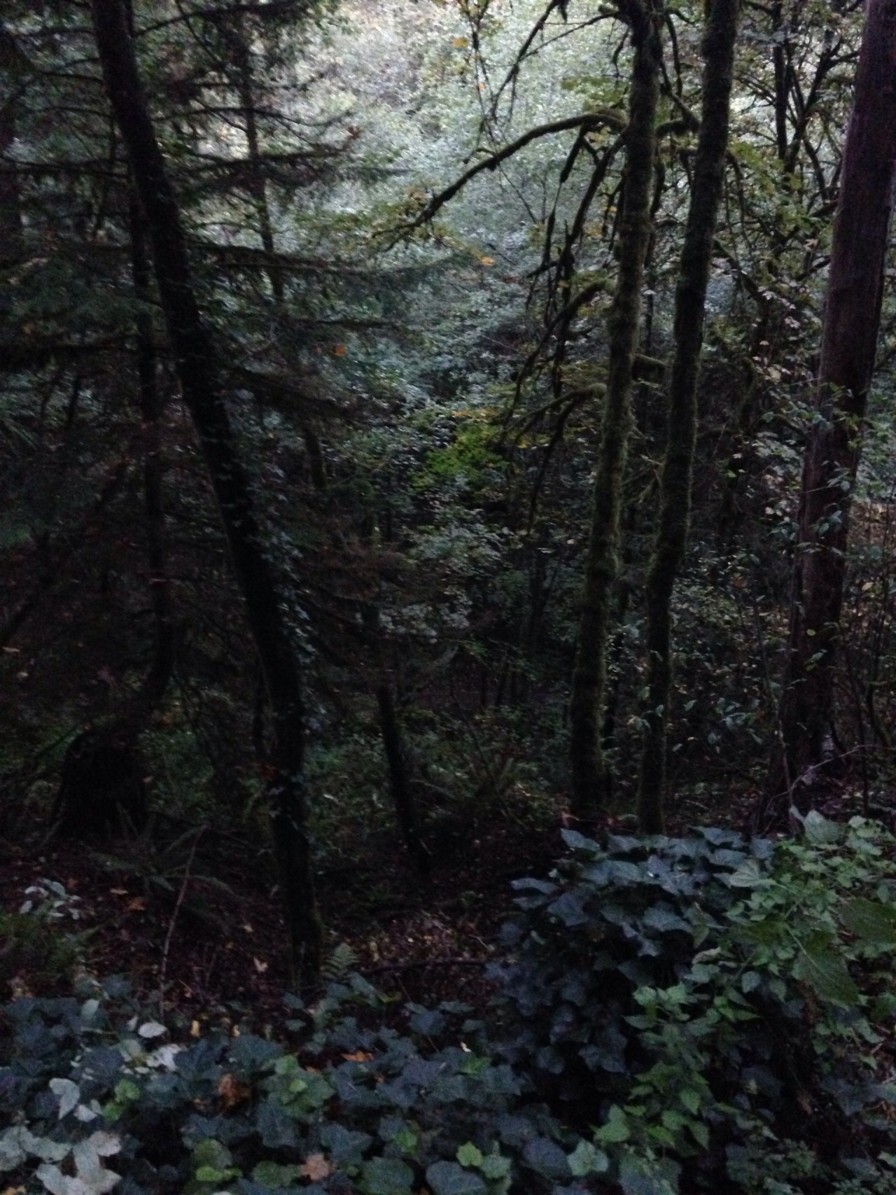 skelos:  witches castle, portland, or 