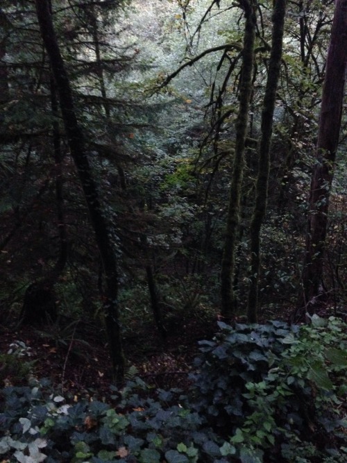 skelos:  witches castle, portland, or 