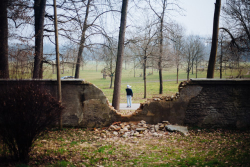 Parco di Monza, Italy