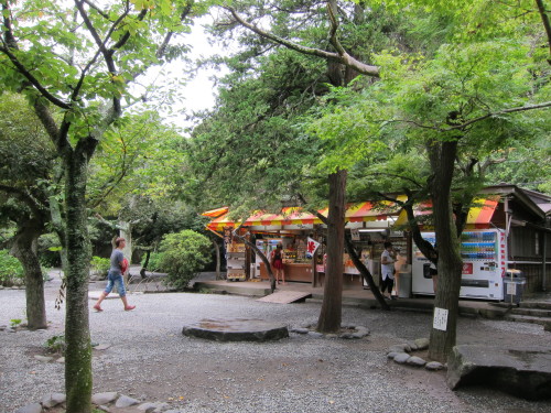 長谷、鎌倉 Hase, Kamakura There is a giant buddha here. We visited it.