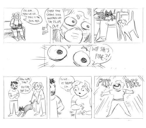 I’m getting kitten pilledTHE END!! Thank you for reading this year’s Hourly Comic Day co